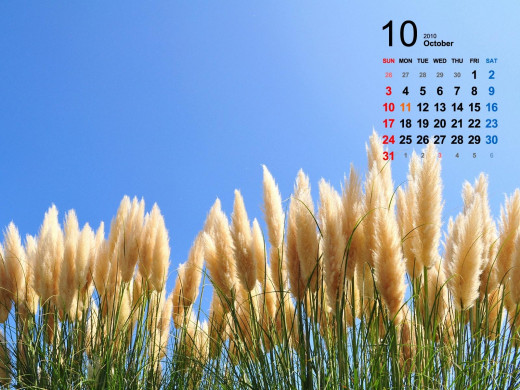 403396 (a): :1600x1200